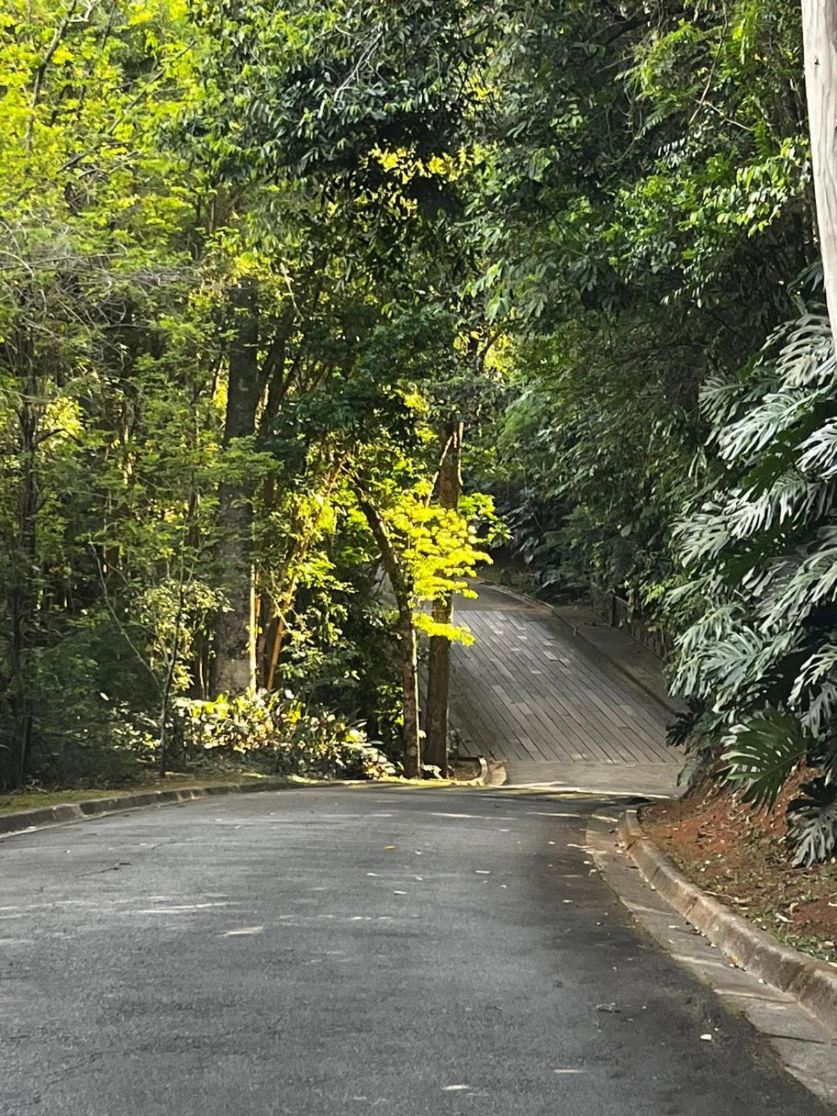 Maravilhoso Studio - Granja Brasil Itaipava Petrópolis Kültér fotó